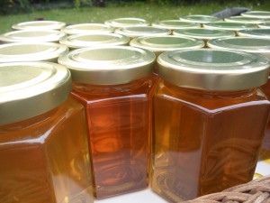 Honey for sale! Jarred up, just awaiting labels
