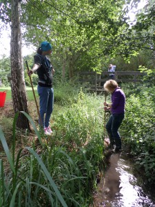 Sampling the River Pinn